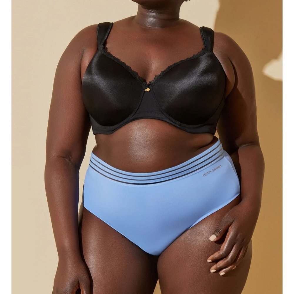 NWT Sheer Striped Waist Brief Panty 30/32 5X Ashley Stewart J-0995